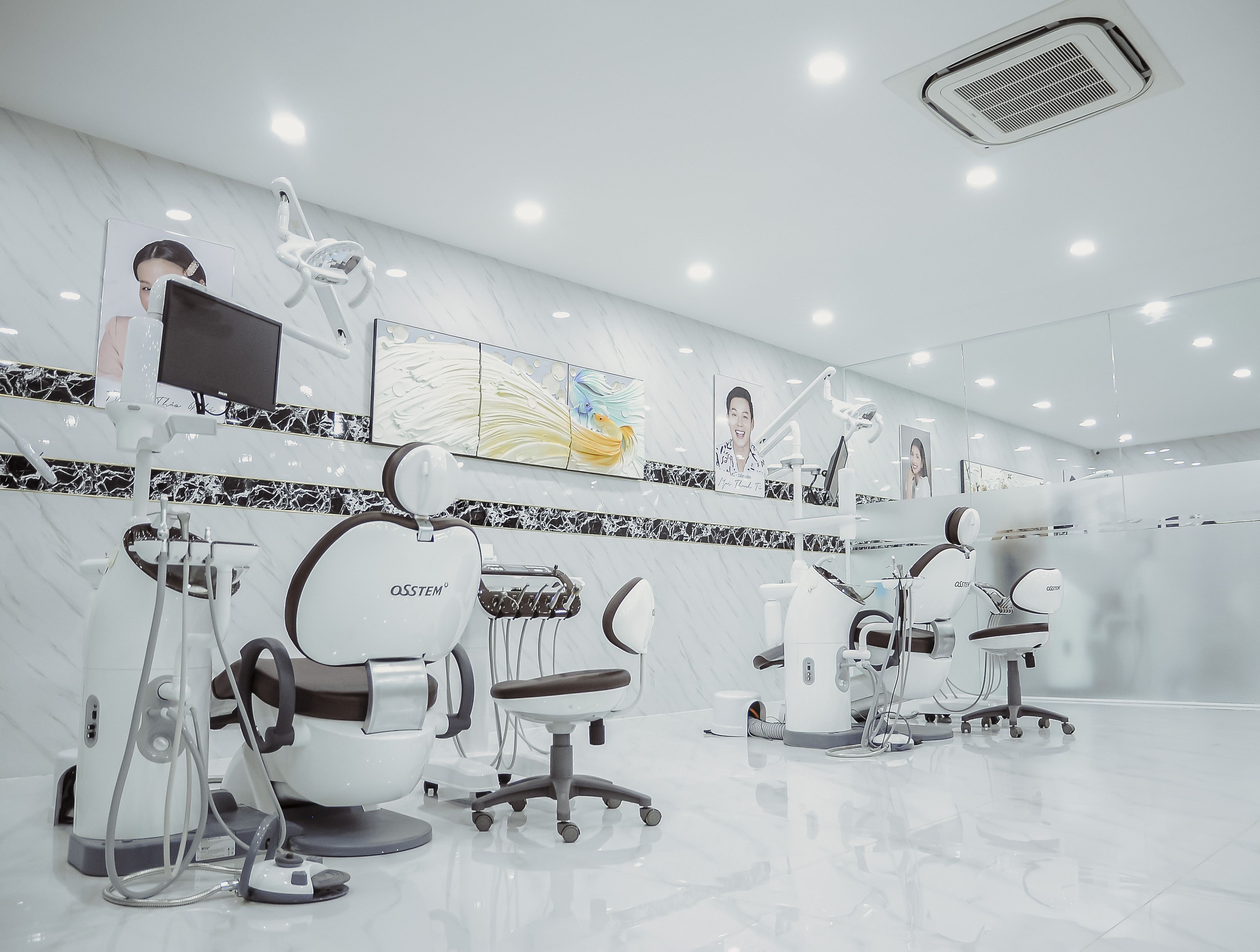 Premium Dental Chair